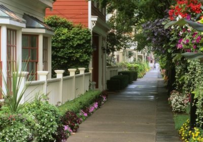 [Image: canda-6.jpg]