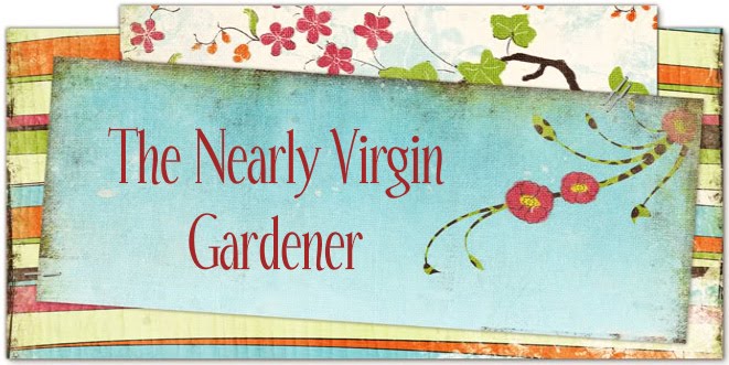 The Nearly-Virgin Gardener