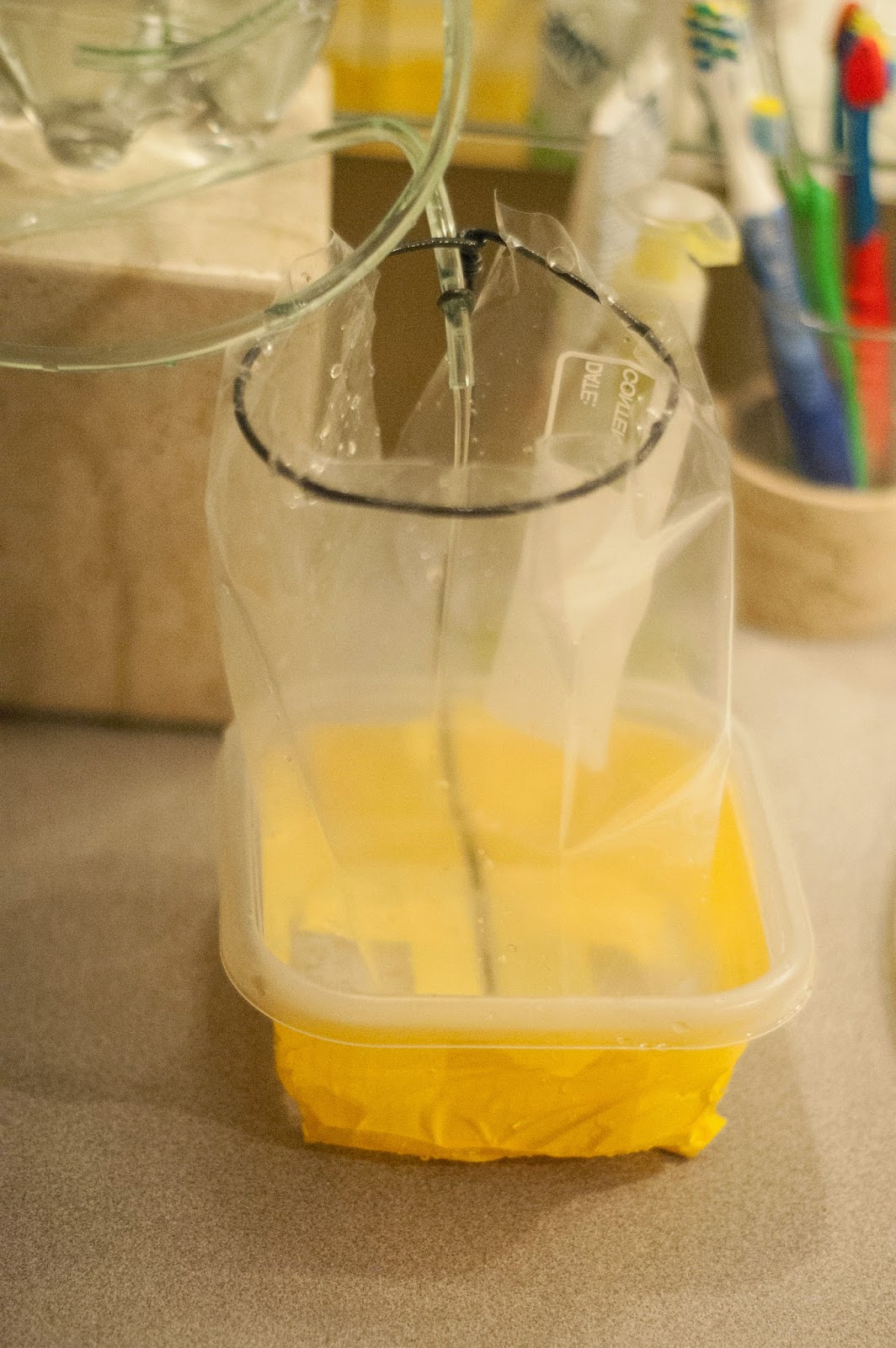 Mom with a Dandelion in Her Hair A Guinea Pig Shower