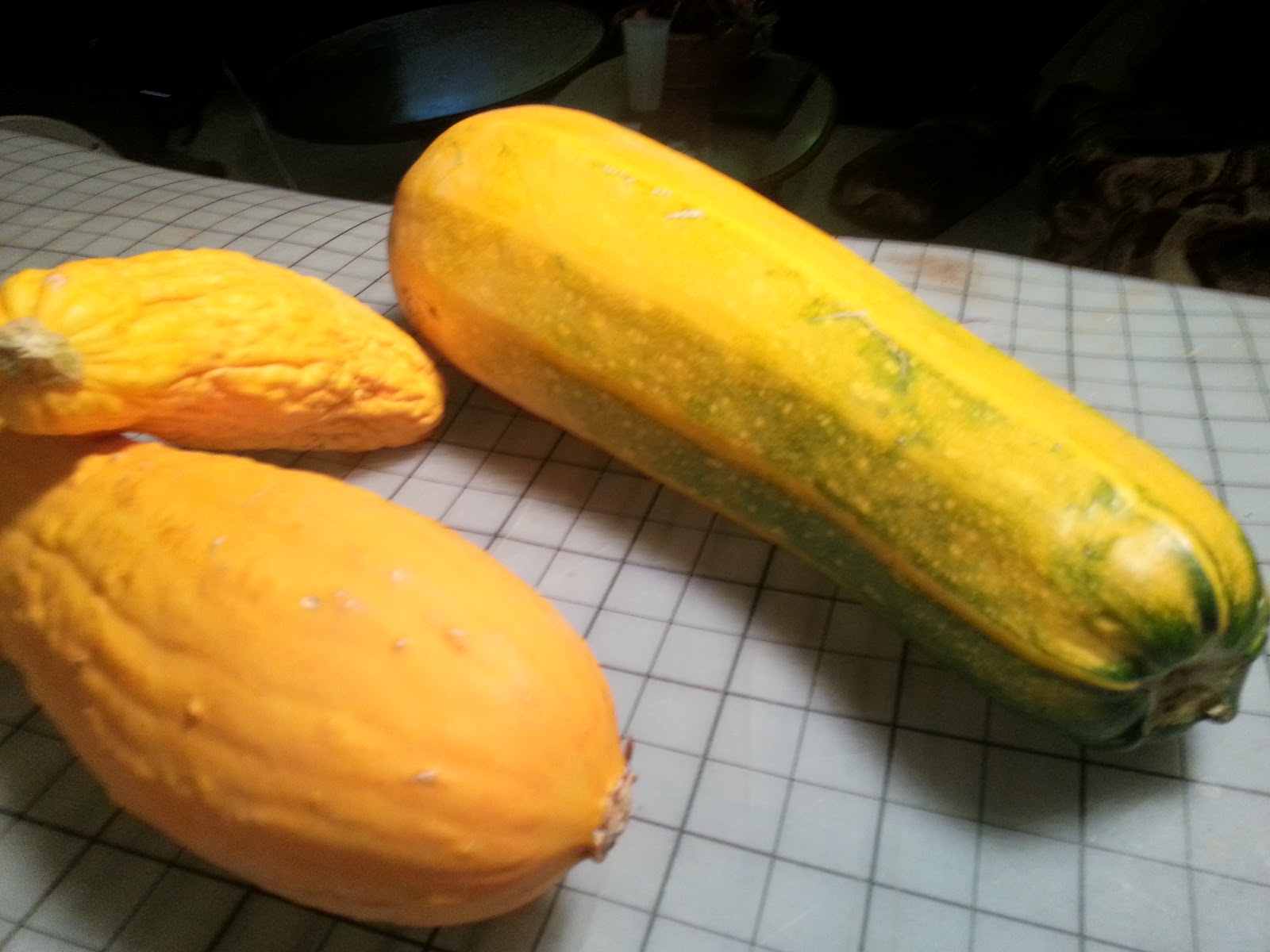 DYK?!? Zucchini Turns Yellow, Given Enough Time!