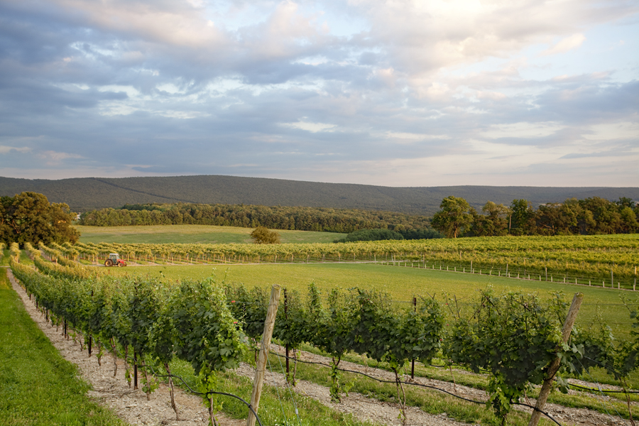 Taste of the Trail Galen Glen Winery Named "Best Pennsylvania Winery