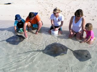 Honeymoon Harbor Bimini