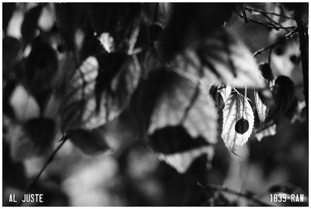 De Alicante a Alcañiz. Fotografías de Ángel Luis Juste.