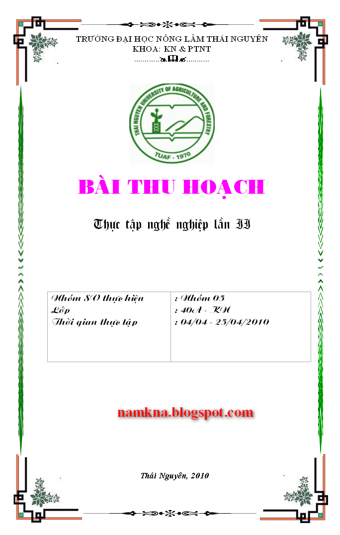 Bia Bai Tiểu Luận Cực đẹp Cho Bai Word Blog Tổng Hợp Xqnb Net