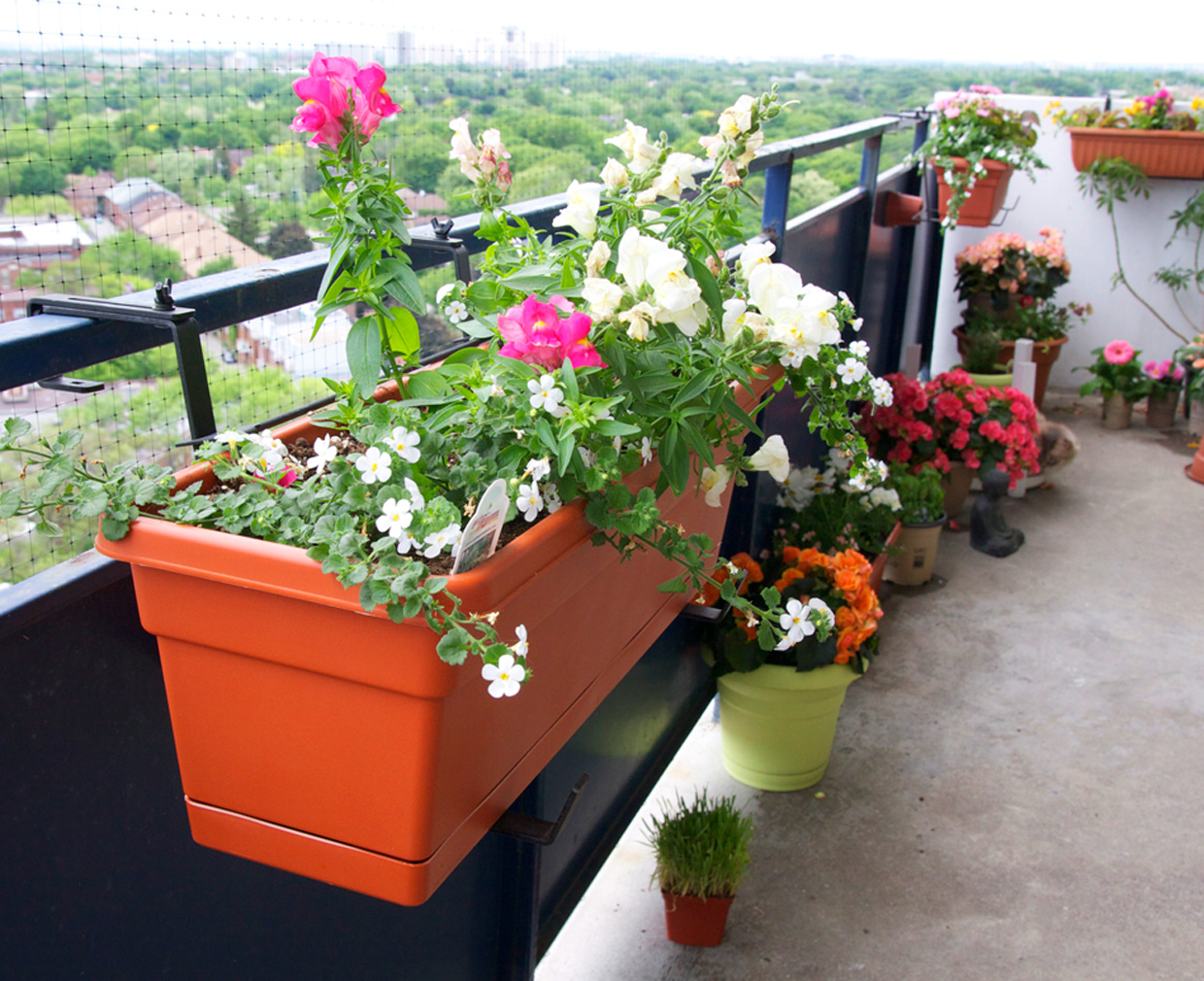 Toronto Balcony Gardening How to Get Your Balcony Railing Containers to Sit Square against the