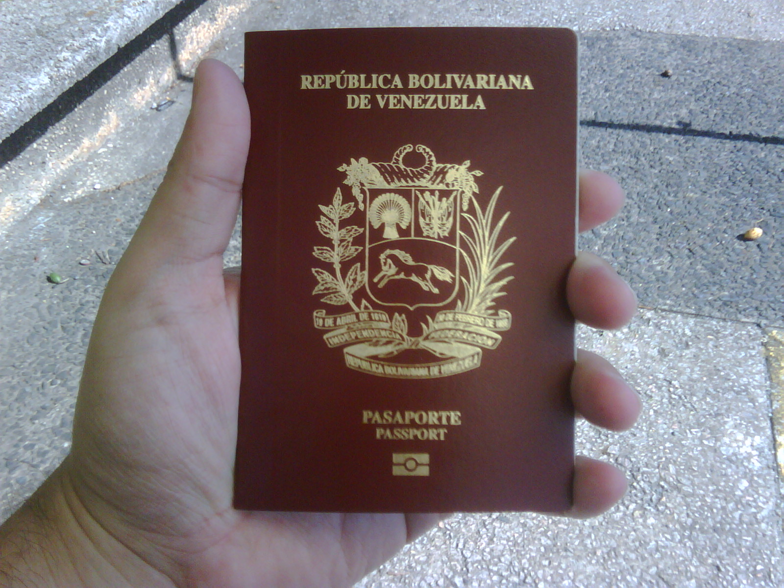 Fotos urgentes para pasaporte df domingo 1 Fotos urgentes para pasaporte df domingo 13