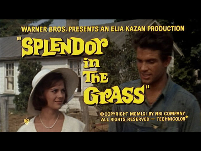 splendor-in-the-grass-trailer-title-stil