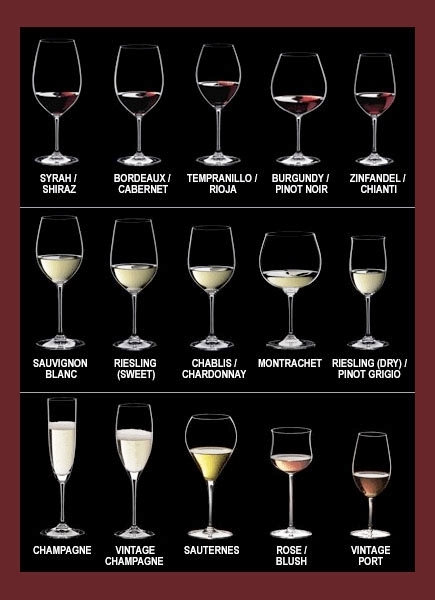 Explaining Wine Glass Types