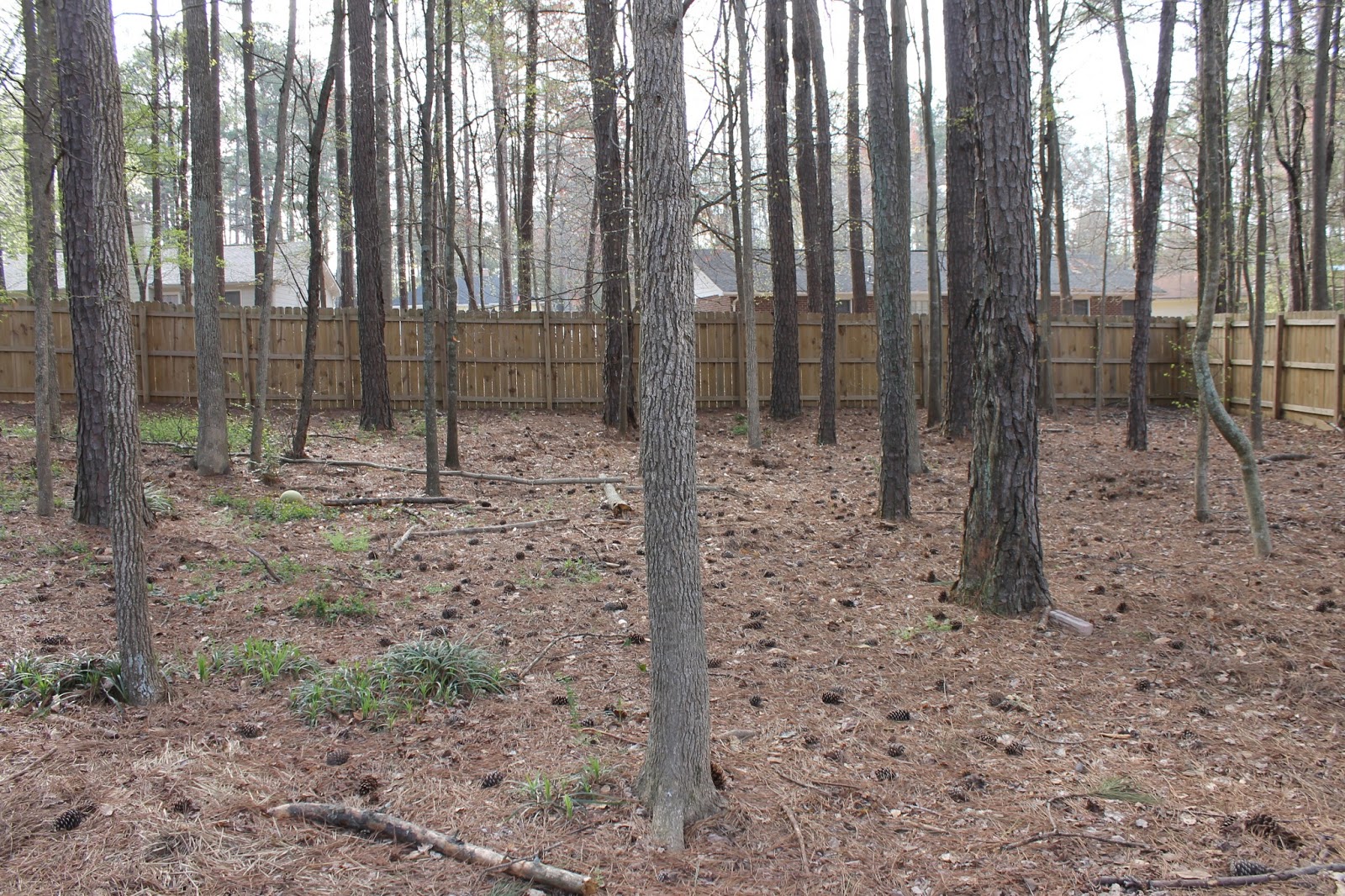 Peachtree City Landscaping How To Grade Landscape