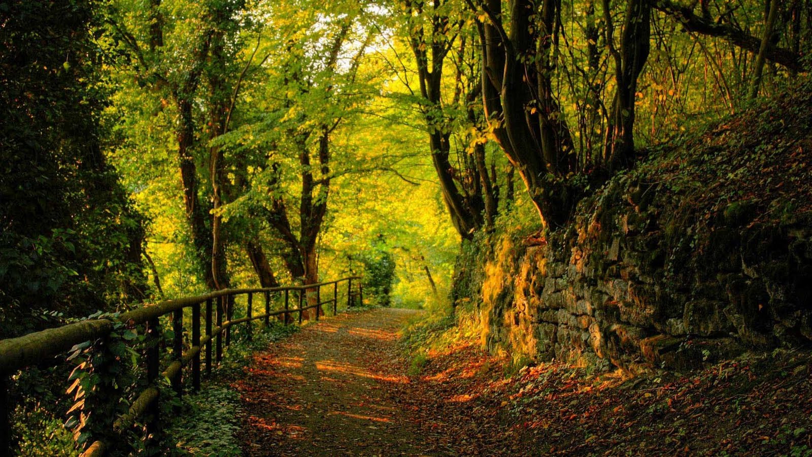 WALLPAPERS HD: wallpapers-de-paisajes-hd-86