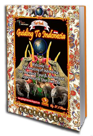 Guiding To Indonesia Book