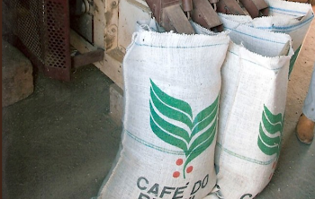 Caffe' crudo arabica santos do Brasil