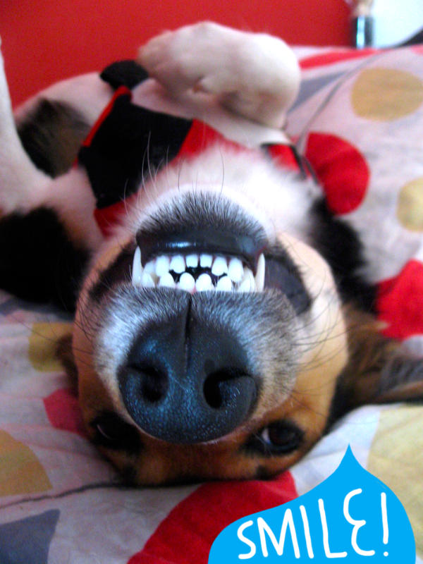 How+to+draw+daisy+duck+face