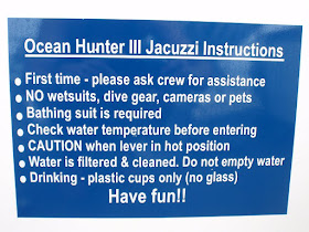 Sharkdives Reisebericht