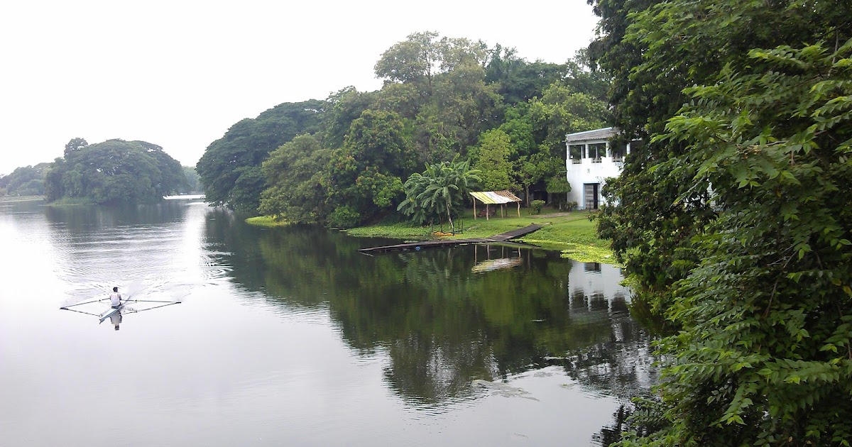 Who Moved My Trees ?