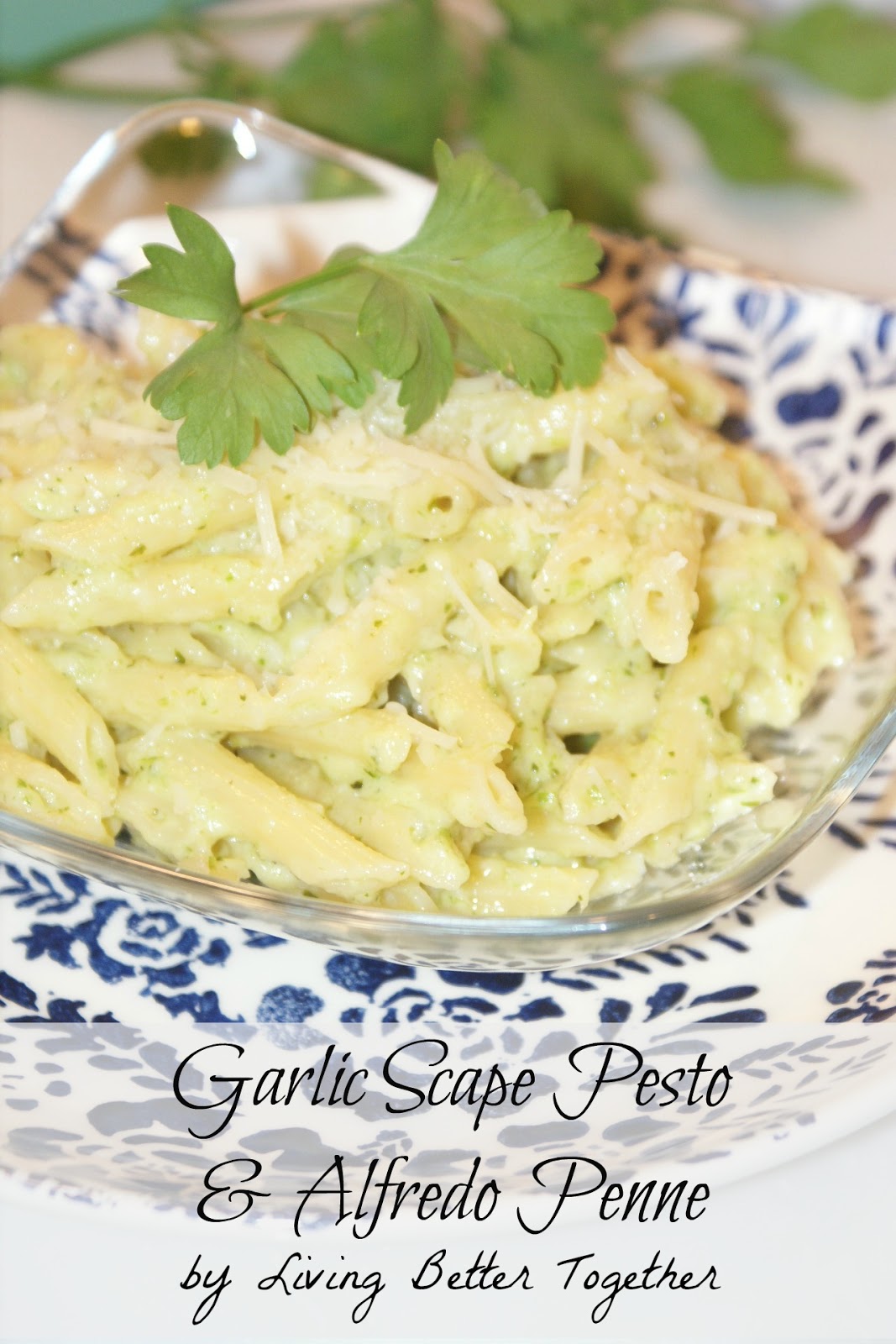 Garlic Scape Pesto & Alfredo Penne Living Better Together