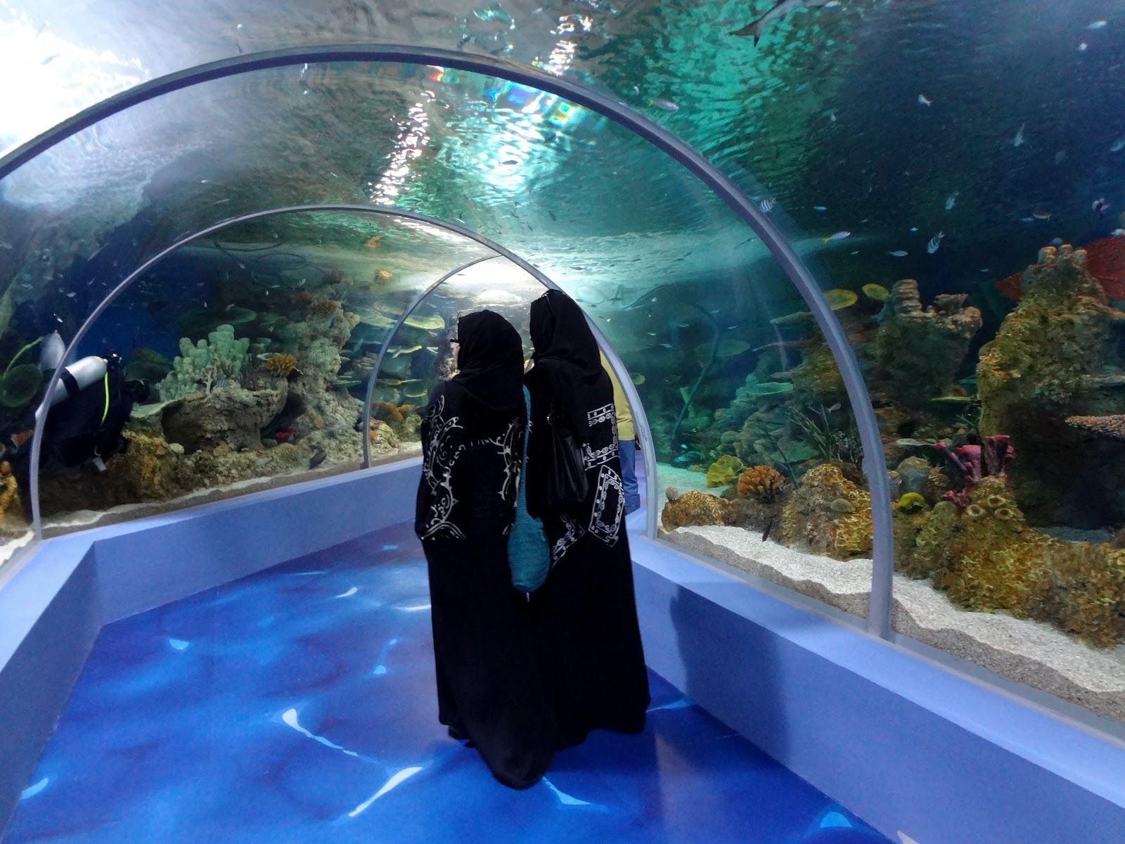 Jill & Mark's Saudi Arabia Adventure Mother's Day at the Aquarium