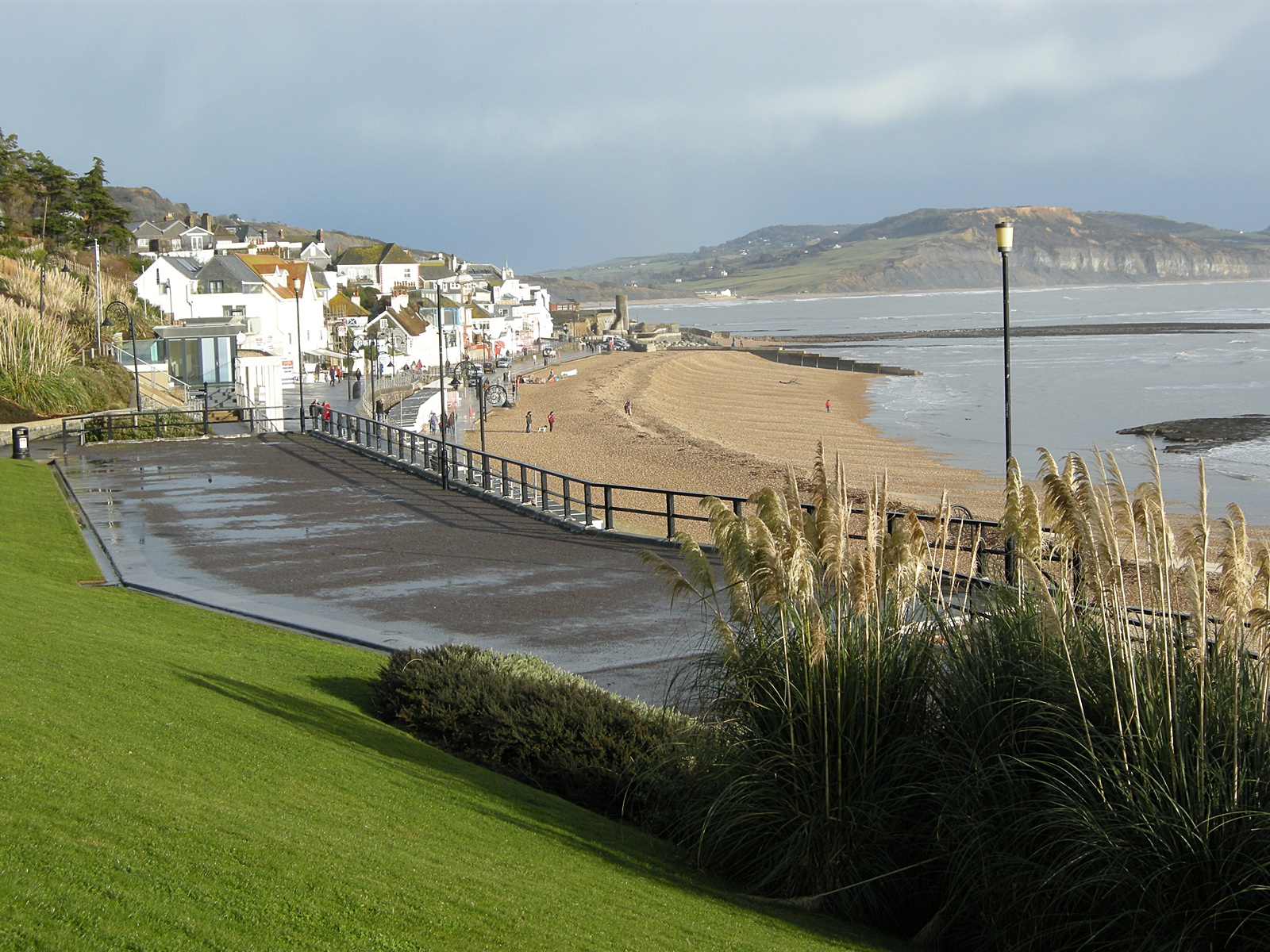 Wingspan News DECEMBER 16TH 2012 LYME REGIS, DEVON, UK