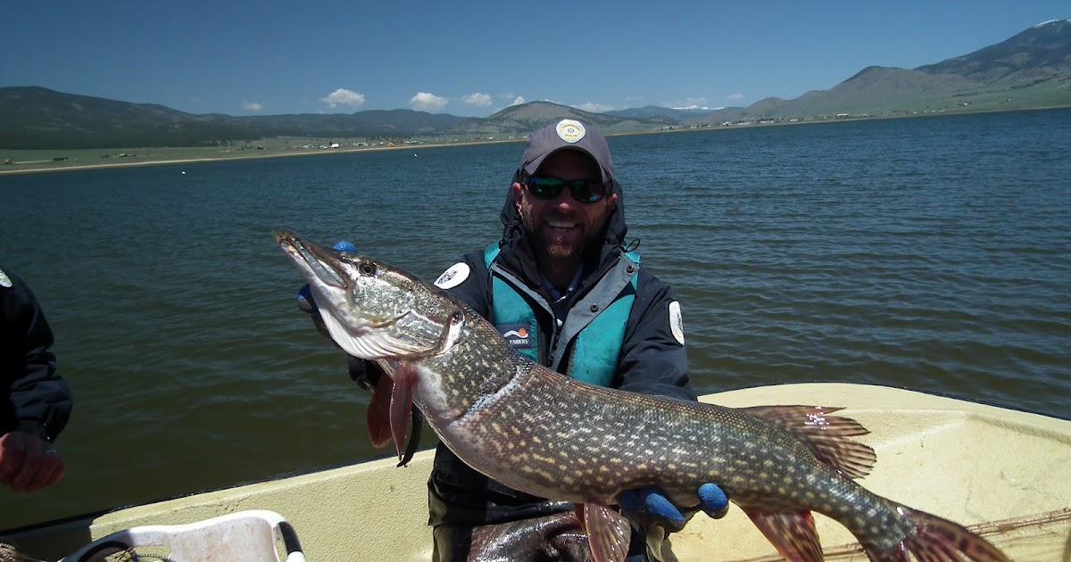 OUTDOORS NM Eagle Nest The Hot Spot For Pike Fishing This Memorial Day outdoors-nm-eagle-nest-the-hot-spot-for-pike-fishing-this-memorial-day