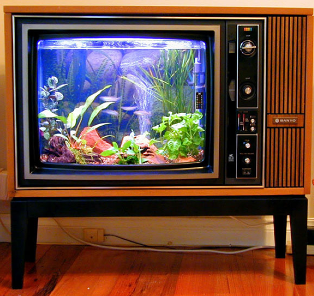 Upcycle Us Upcycled fish tank