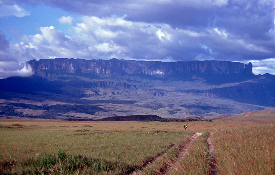 MONTE RORAIMA, PARQUE NACIONAL CANAIMA (VENEZUELA) MONTE RORAIMA, PARQUE NACIONAL CANAIMA (VENEZUELA)