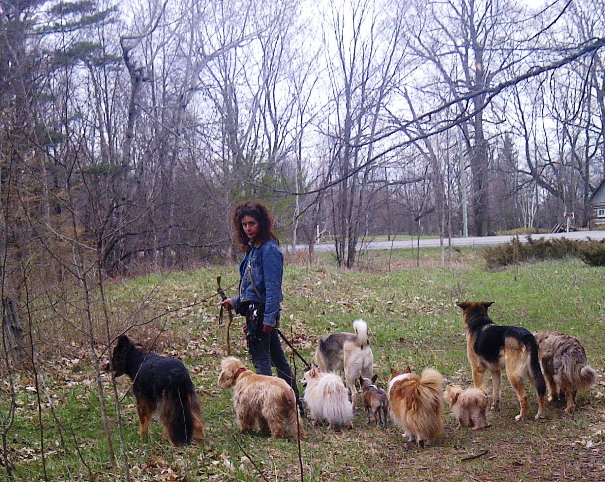 Ottawa Valley Dog Whisperer Did You Know that Some Shelters in Canada