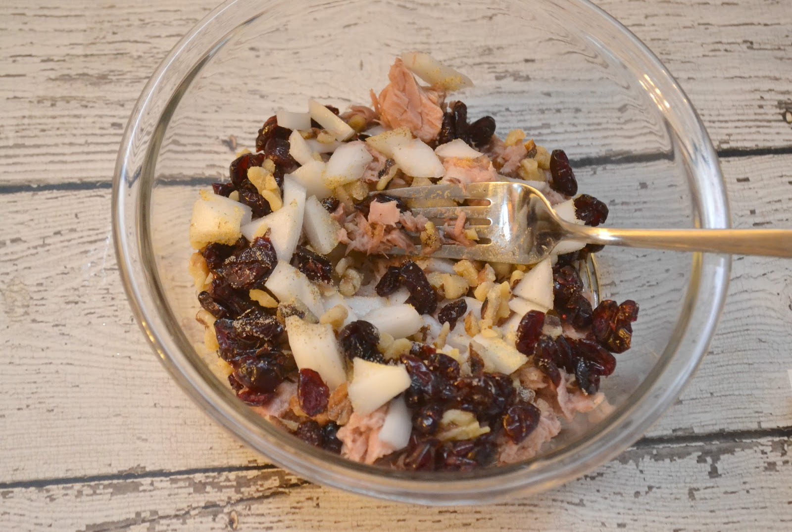 Apple Slices Topped with Cranberry Walnut Tuna Salad Building Our Story