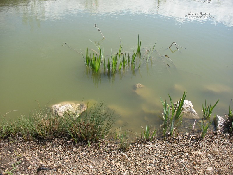 Водоем