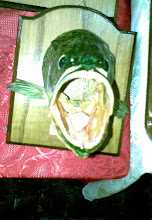 Fish face