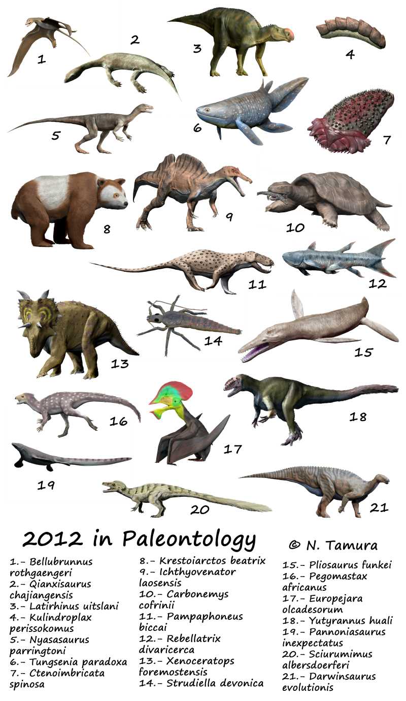 Paleoexhibit 2012 in Paleontology