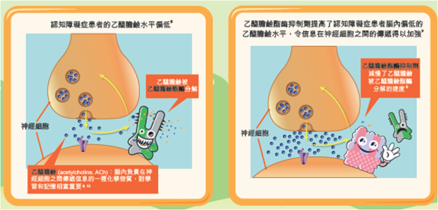 認知障礙症的治療