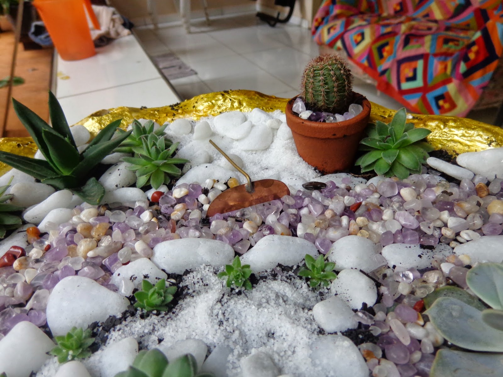 mini jardim de suculentas passo a passo:Mini-jardim de cactos e suculentas – Diário de uma Sementeira mini jardim de suculentas passo a passo:Mini-jardim de cactos e suculentas – Diário de uma Sementeira