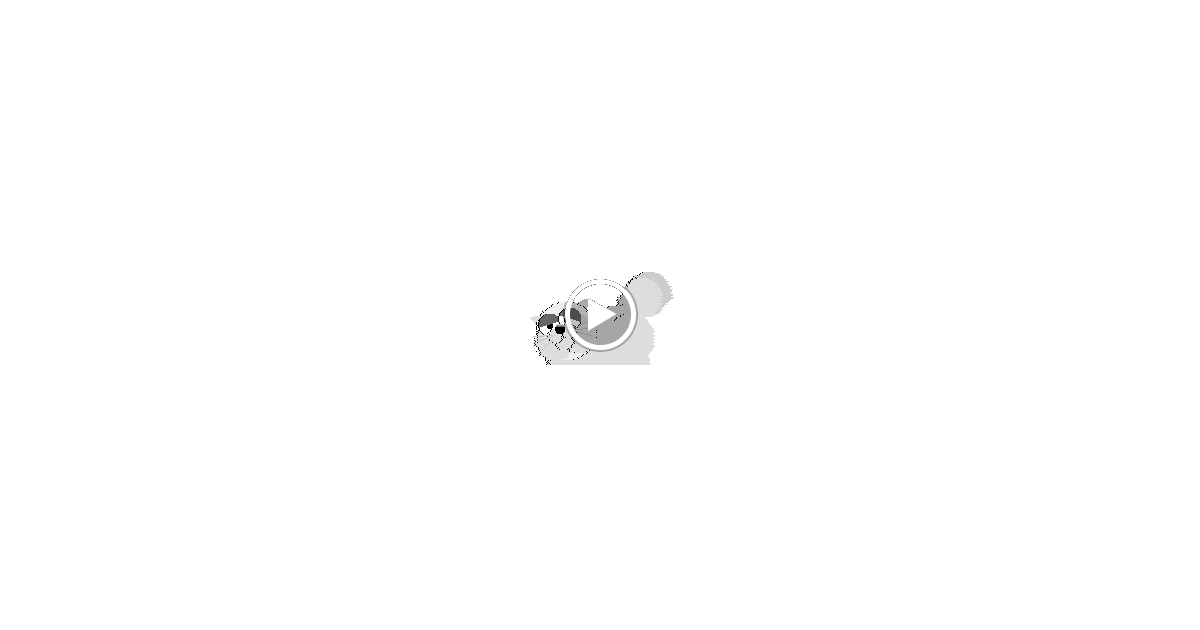 Animation Bundle: Animated Cats Jumping Playing and Running Around See