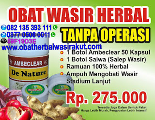 Obat Wasir Ambeien tanpa Operasi