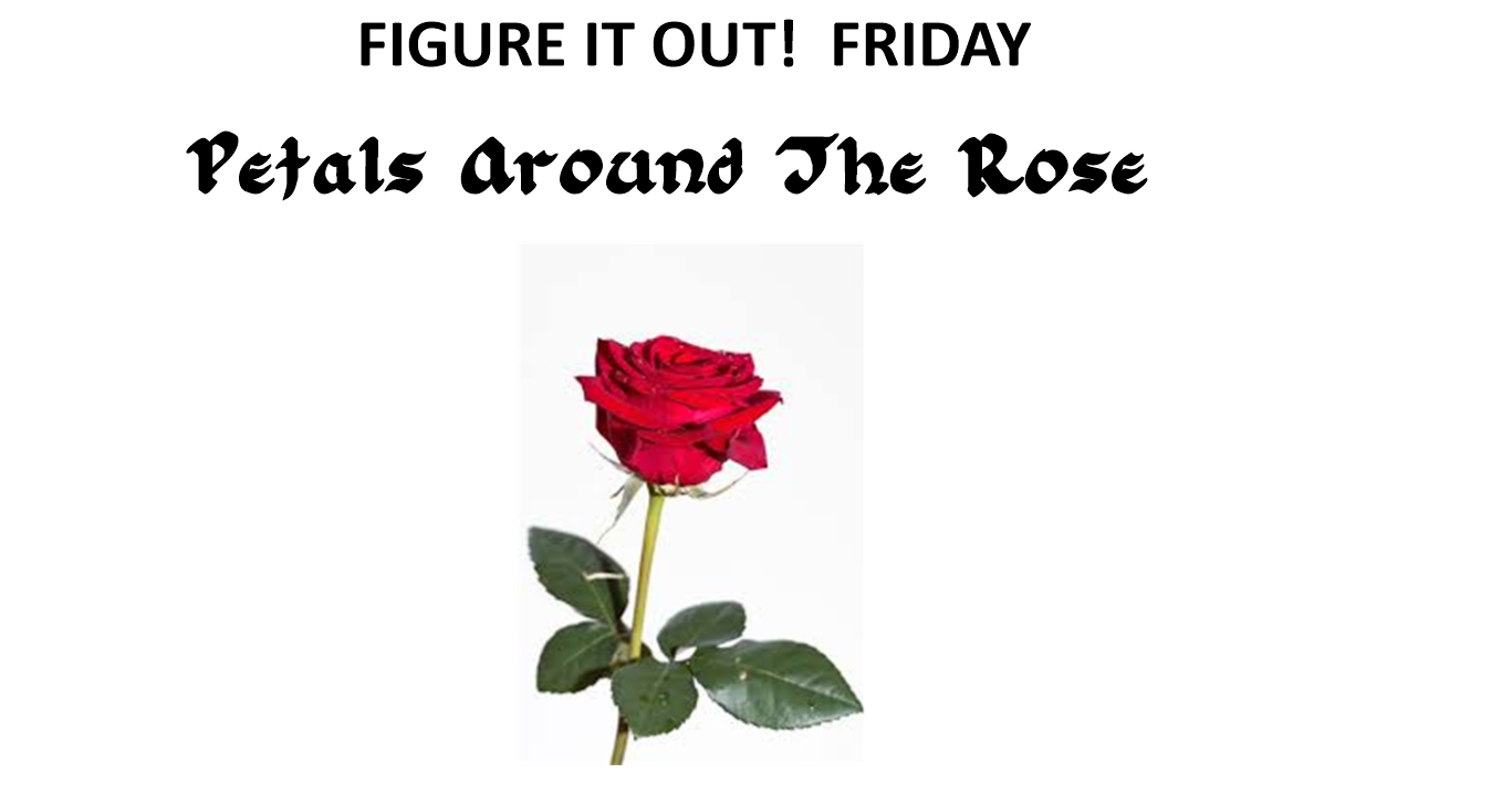 Math = Love Petals Around the Rose Report