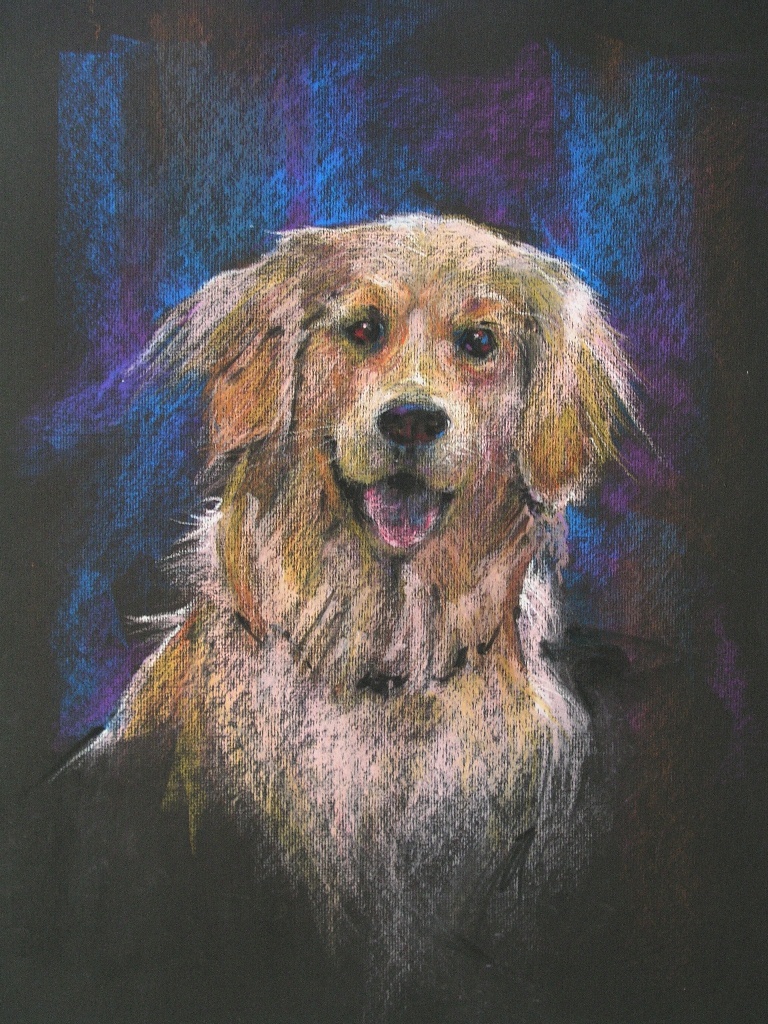 Shelley Schoenherr Recent Work