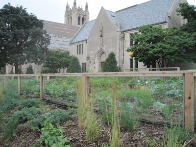 Church in the background of the garden and its fence