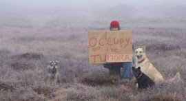 #Occupy Everywhere