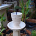 Gulf of Mexico Flower Gardens - Flower ดอกไม้ Garden สวน Florists Flora