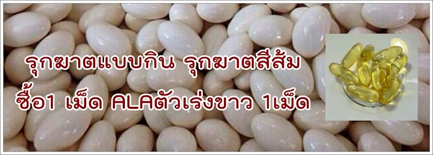 รุกฆาตแบบกิน รุกฆาตสีส้ม ซื้อ1 เม็ด ALAตัวเร่งขาว 1เม็ด ซื้อเท่าไหรแถมเท่านั้น