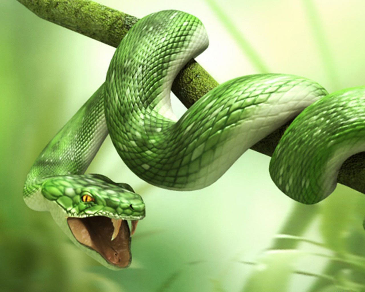 http://2.bp.blogspot.com/-jfwlQVBNdzQ/UCOc1OhCdcI/AAAAAAAABDU/QZjpTP4J_n4/s1600/3d_wallpaper-animals_Snake.jpg