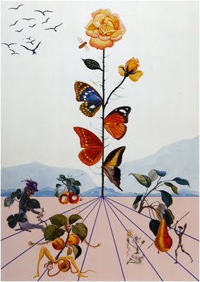 Make Art Not War Collection 12 Salvador Dali