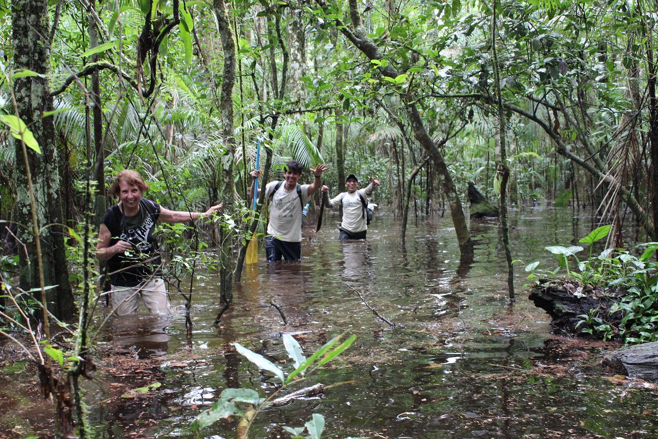 amazon jungle