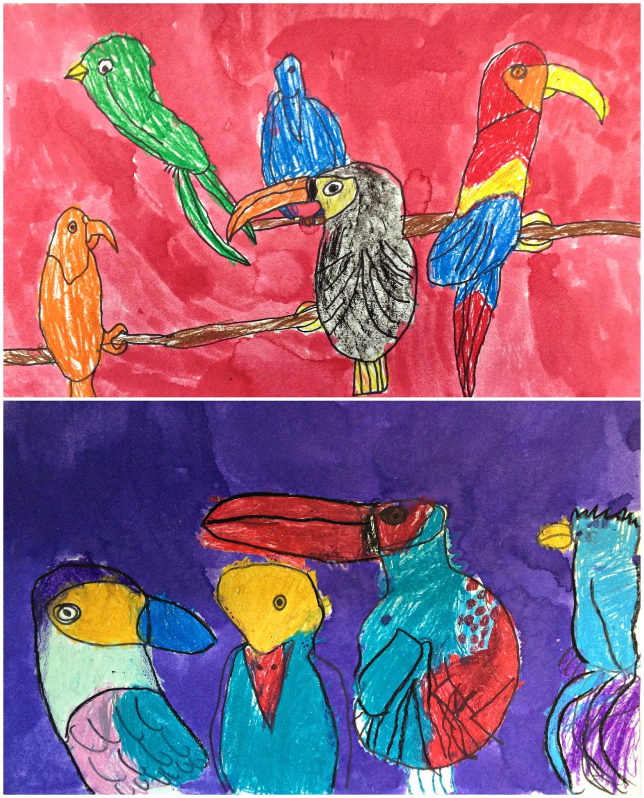 early bird late bird kindergarten early bird late bird kindergarten
