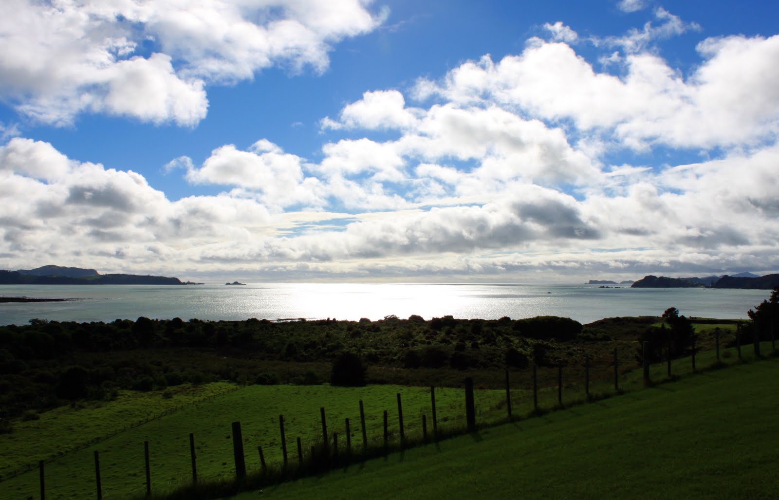 Barefoot in New Zealand Paihia