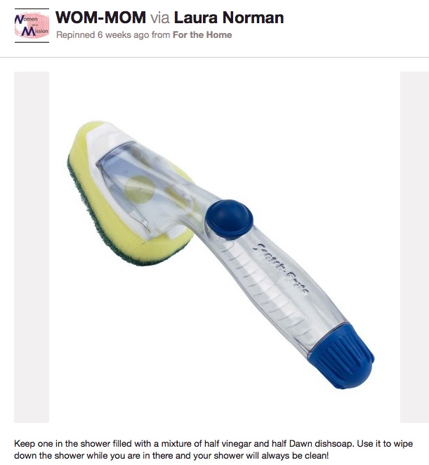 Women on a Mission Mom Edition Fall Pinterest Challenge Shower Scrubber