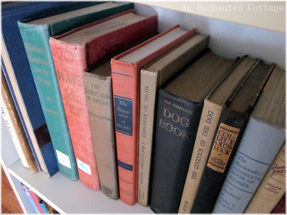 An Enchanted Cottage Craigslist Bookcase Score