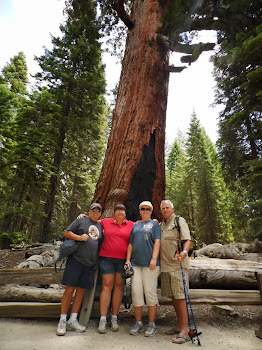 Standing in front of the Grizzly Giant