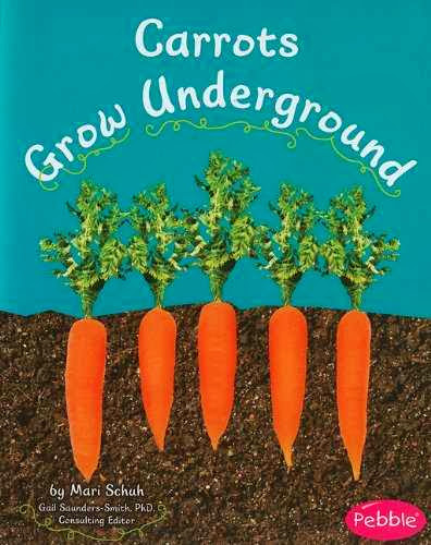 list of vegetables that grow underground