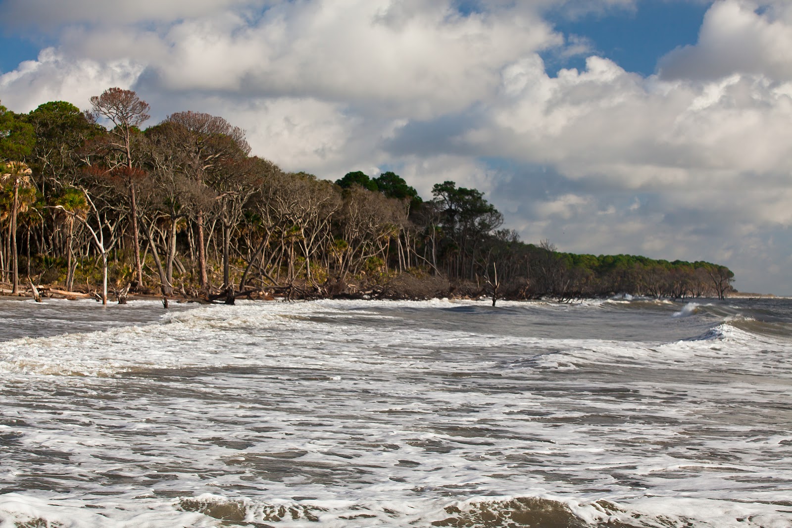 Image Result For Huniting Island State Park Image Result For Huniting Island State Park